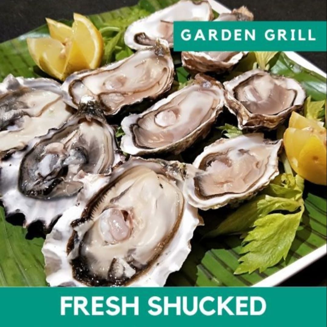 Fresh Shucked Canadian Oysters