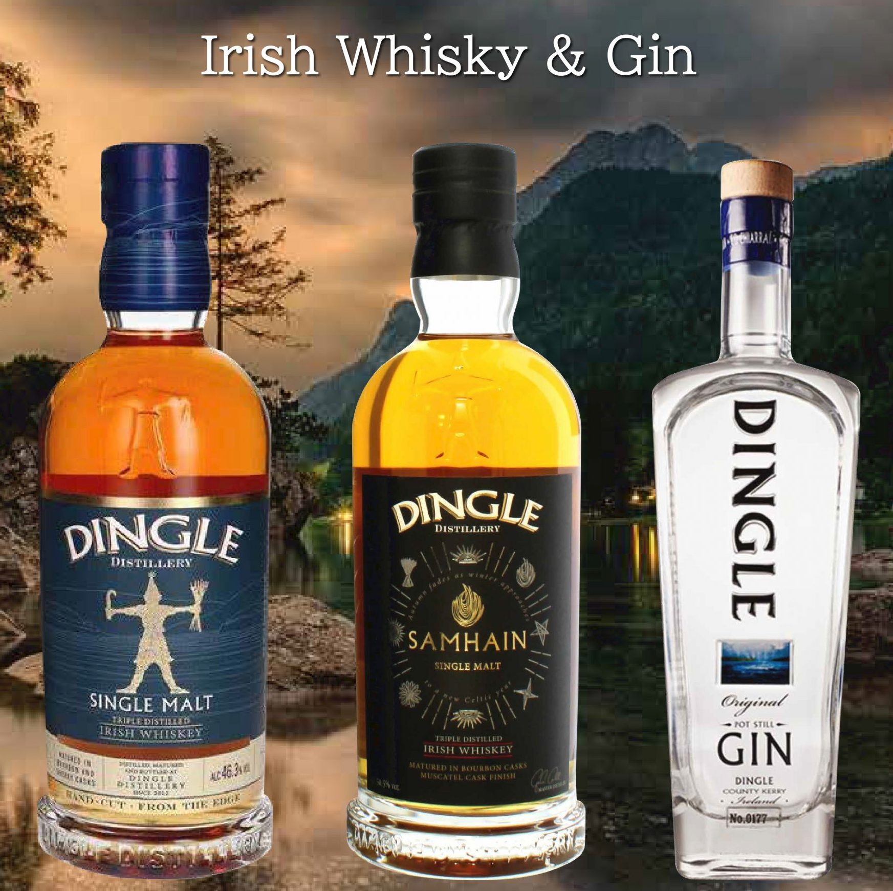 June Promotion Irish Whisky & Gin