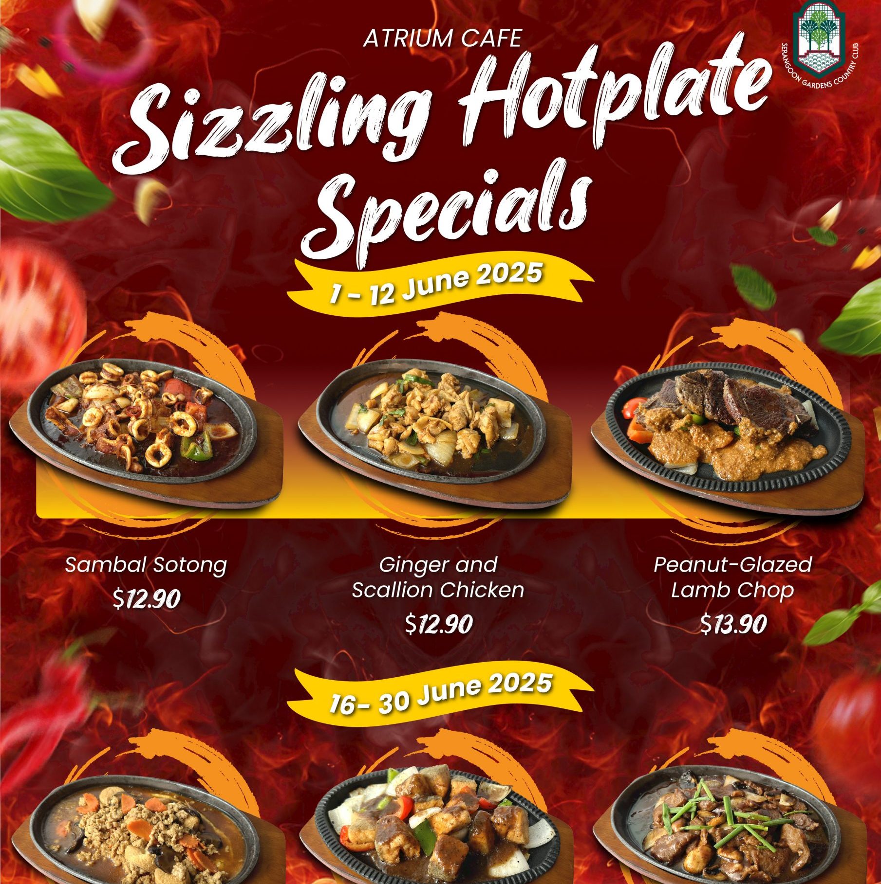 Sizzling Hot Plate Promotion