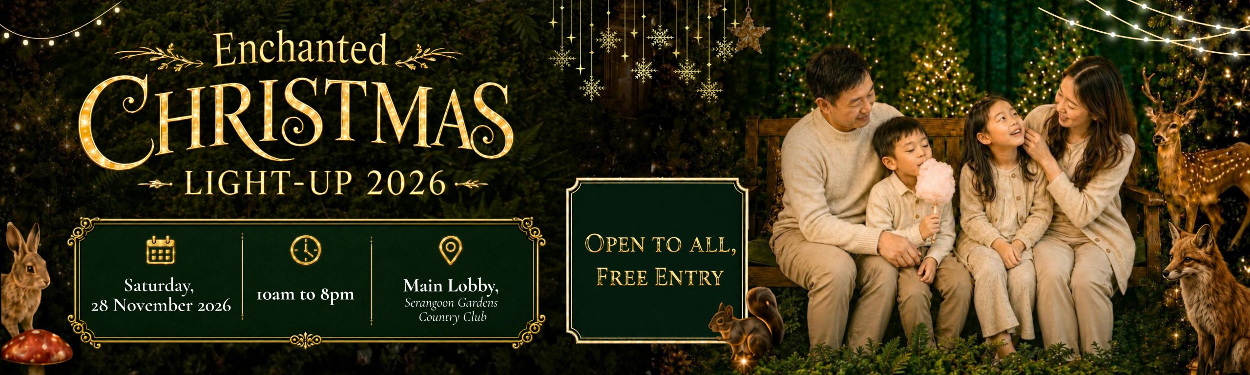 Xmas Light-Up (Public)_Web Banner