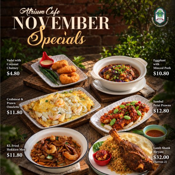 AC November Specials